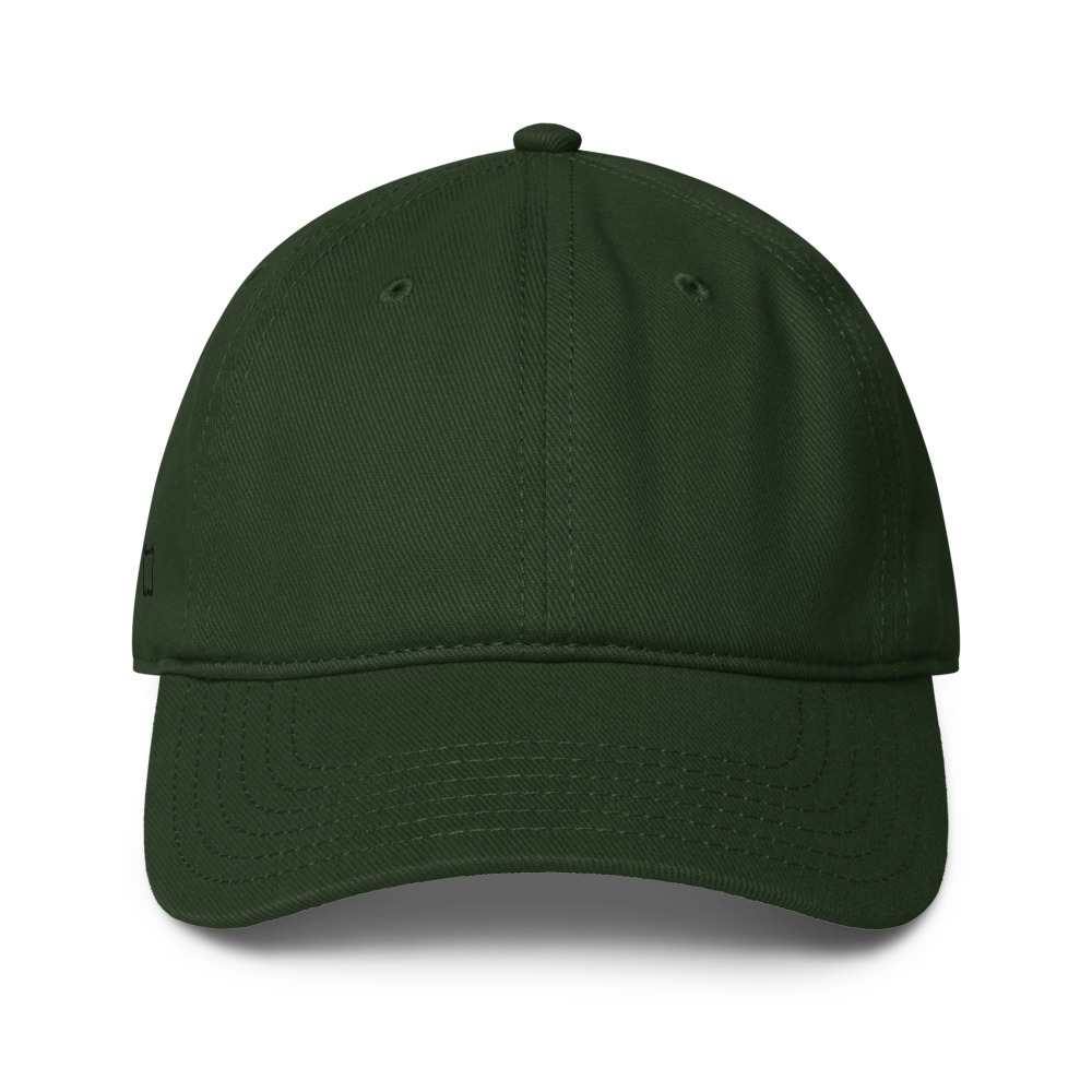 Low Profile Baseball Cap | Otto Cap 18-253