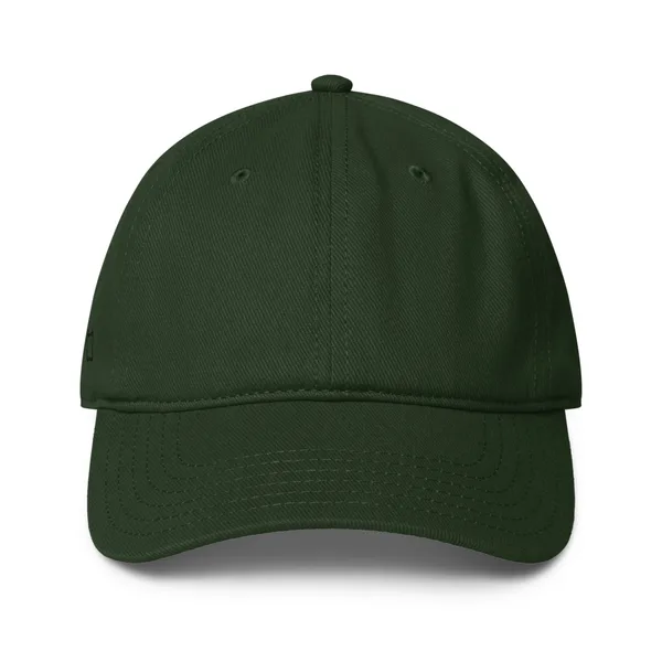 Low Profile Baseball Cap | Otto Cap 18-253