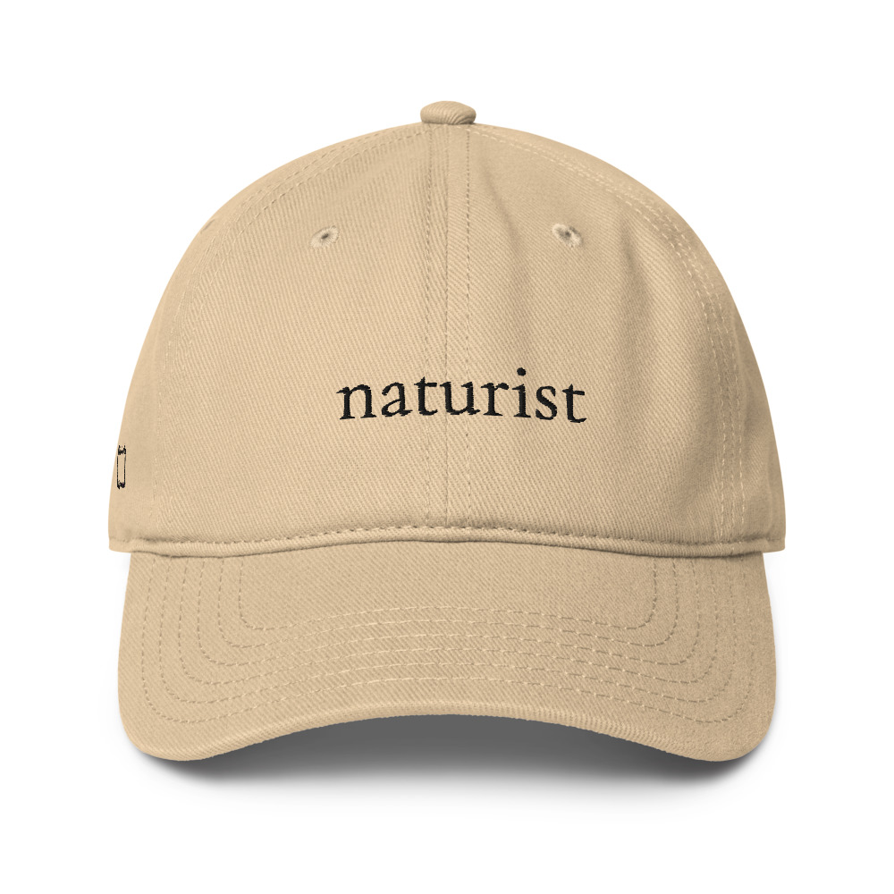 Low Profile Baseball Cap | Otto Cap 18-253