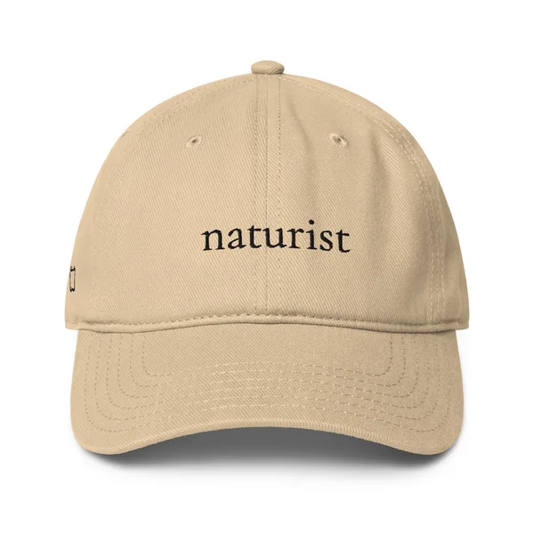 Low Profile Baseball Cap | Otto Cap 18-253